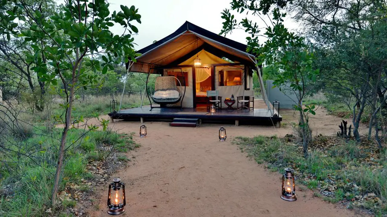 Safari Plains, Limpopo, tent