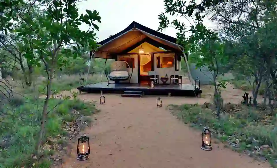 9. Signature Safari Plains Safari Suite