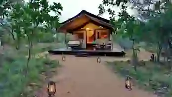 Safari Plains, Limpopo, tent