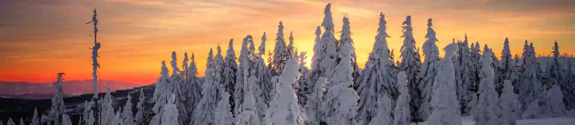 Winter scene, Bavarian Forest, Germany