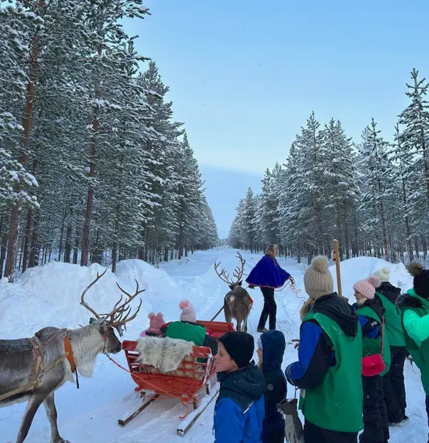 Sledge Ride, Lapland