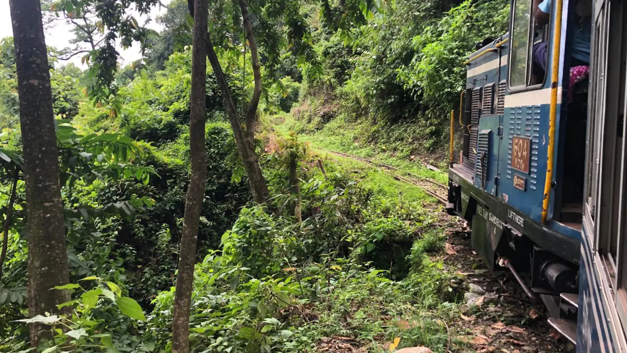 Toy Train, Darjeeling