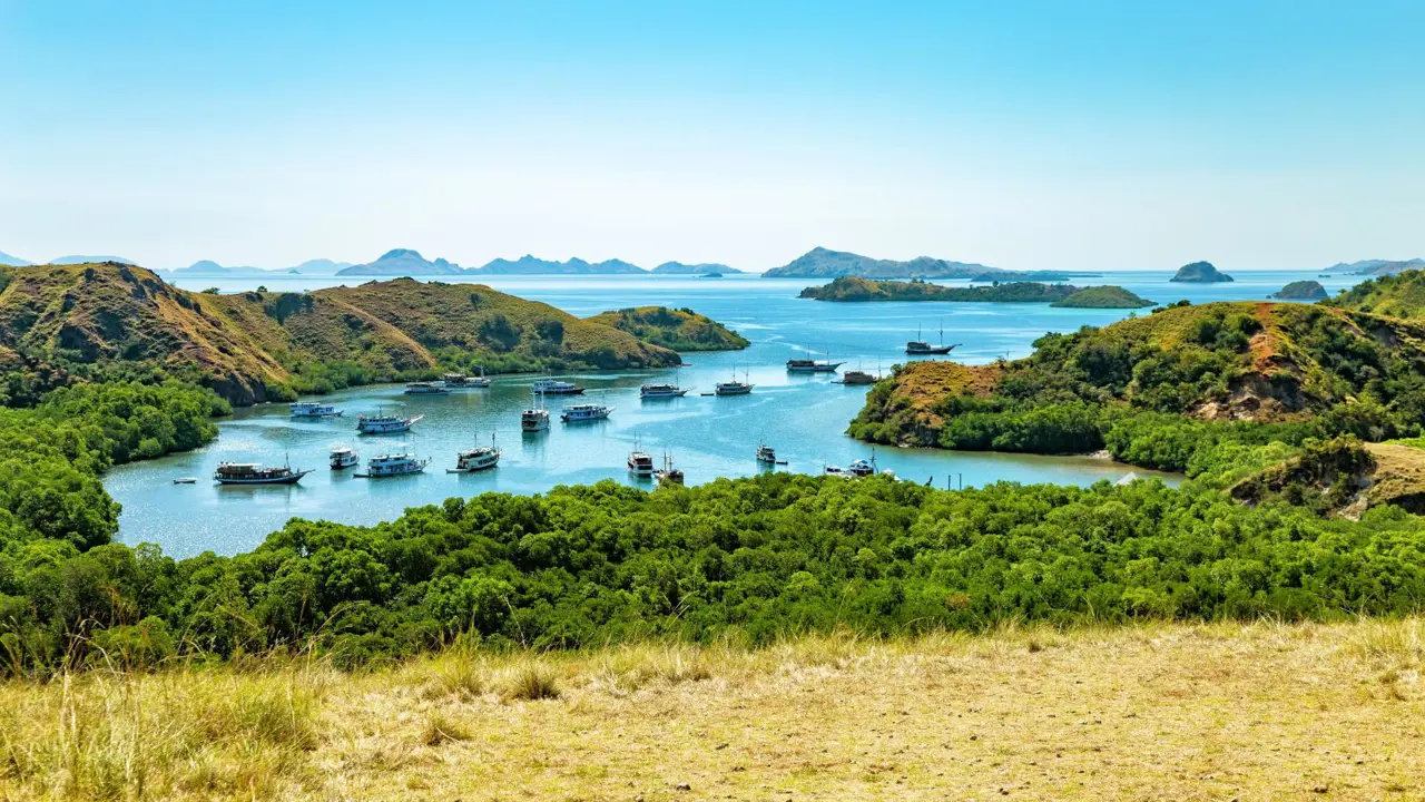 Rinca Island, Komodo National Park