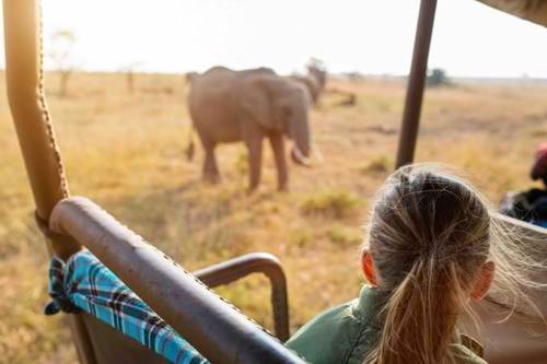 On Safari in Africa