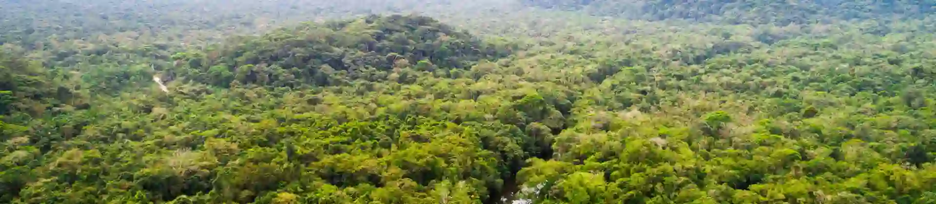 2000X1400 3 Carbon Sh 722601193 1