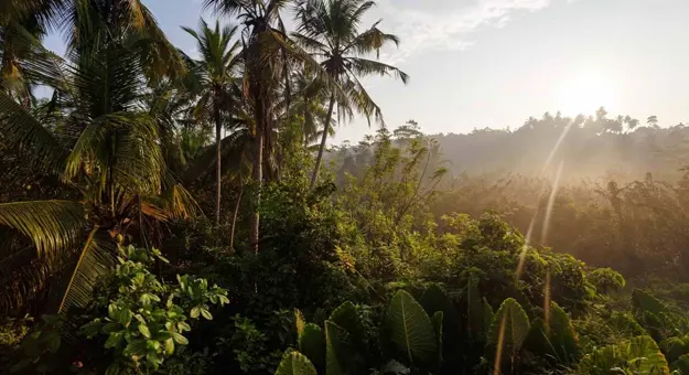 5 unique reasons to visit the island of Borneo