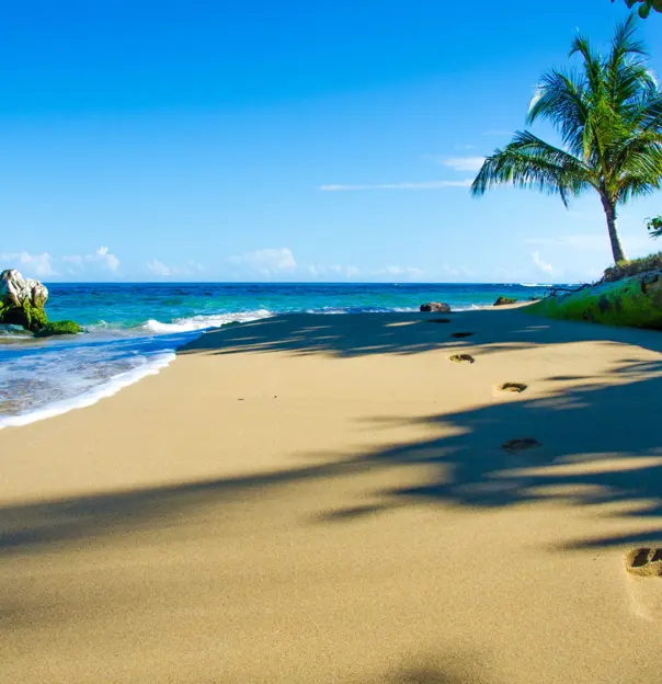 Beach in Costa Rica 