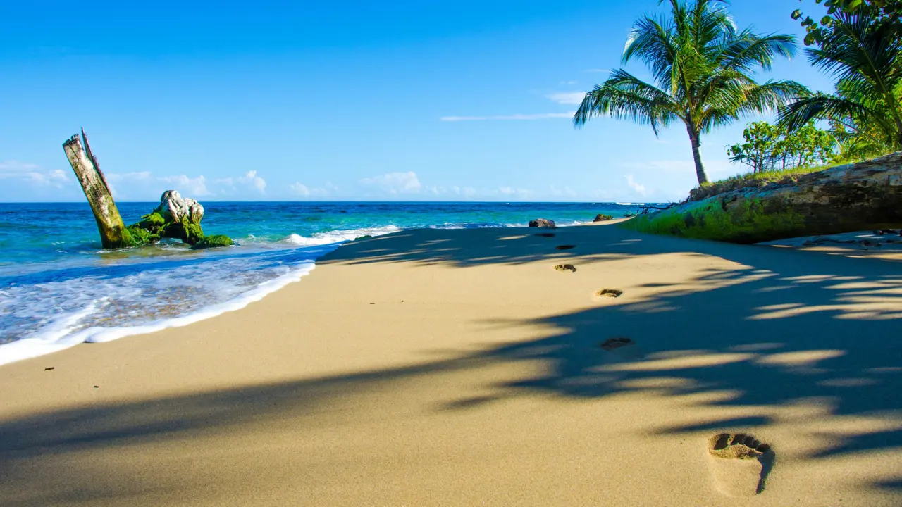 Beach in Costa Rica 