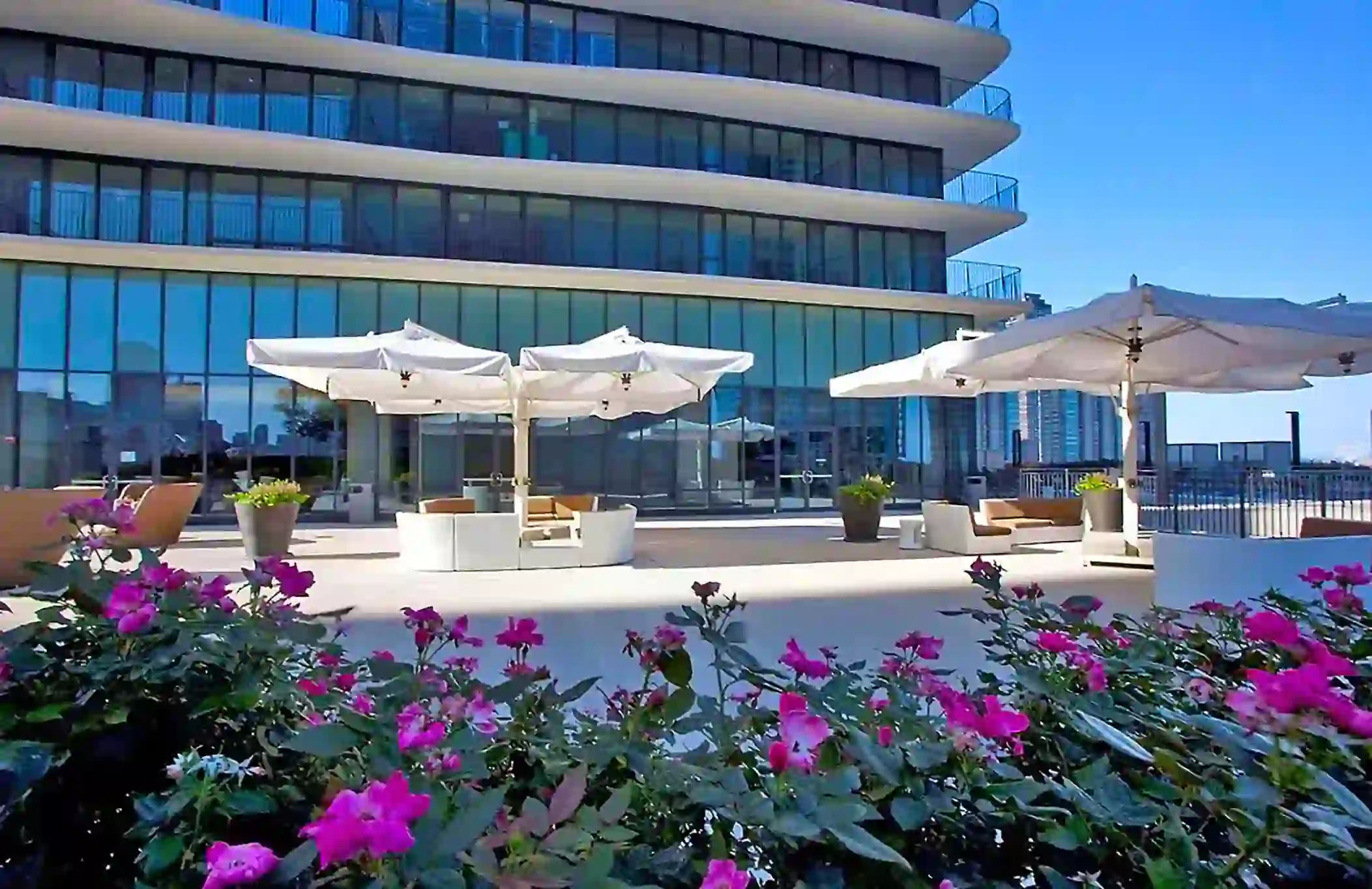 Modern terrace at Radisson Blu Aqua Hotel in Chicago, featuring lounge seating with umbrellas on the patio, and pink flowers and shrubs in the foreground