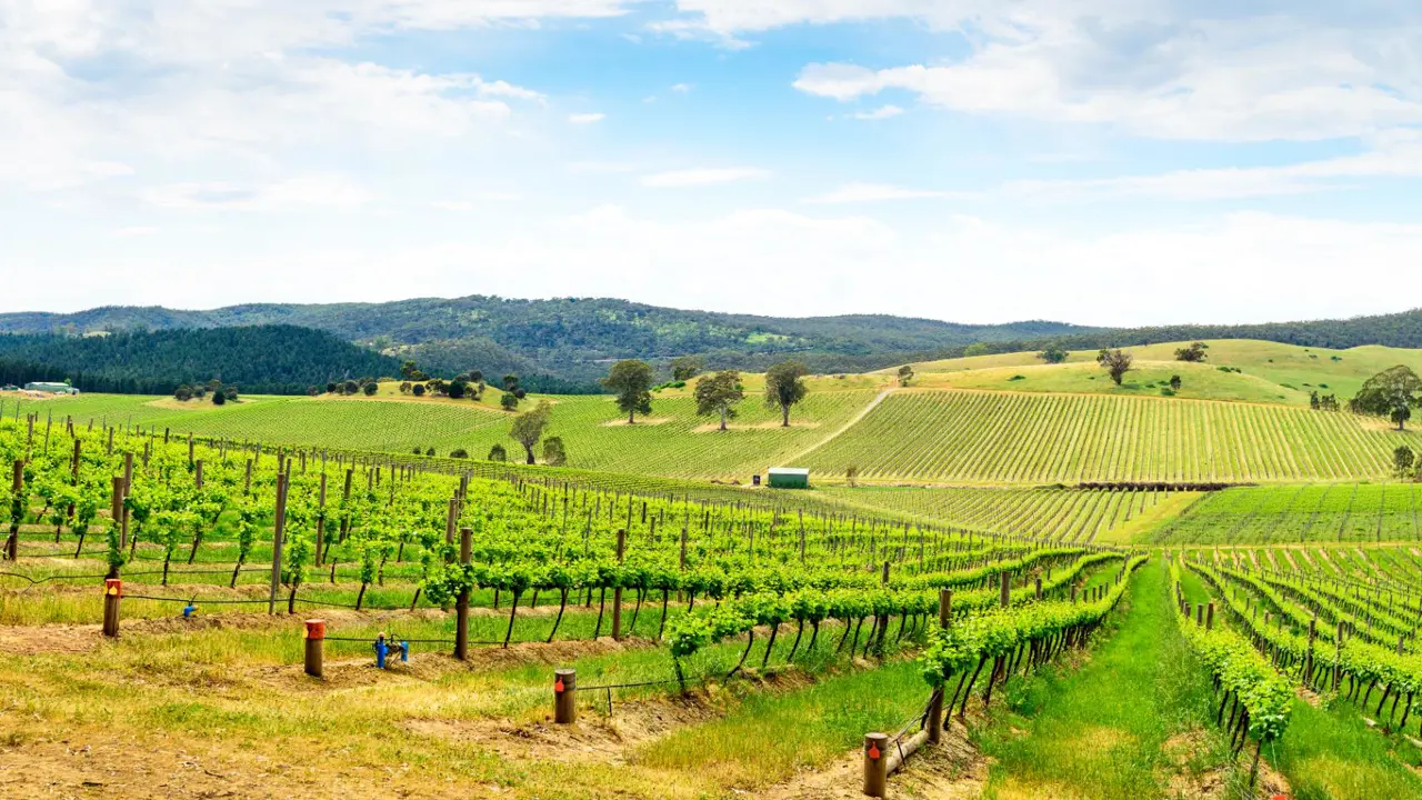 Barossa Valley, South Australia