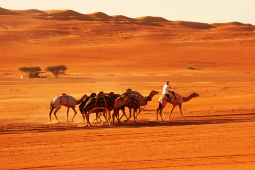 For adrenaline junkies: Arabian Desert, Oman