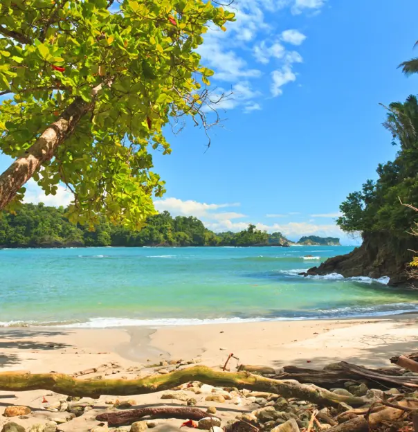 Shutterstock 126481505 Antonio Manuel