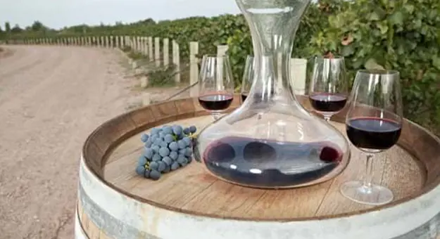 Gettyimages 102071340 Malbec Red Wine In Mendoza Vineyard