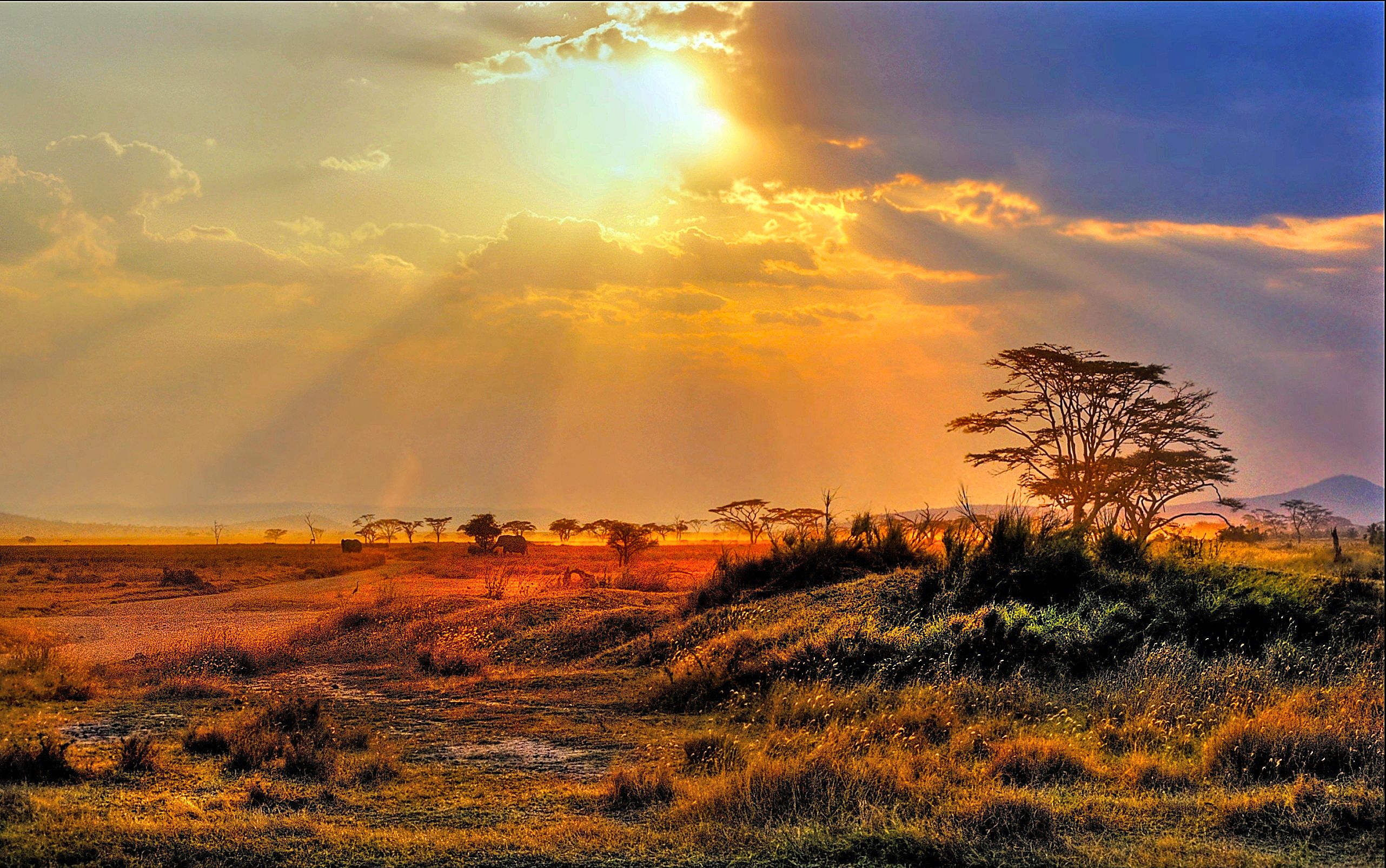 Kruger National Park