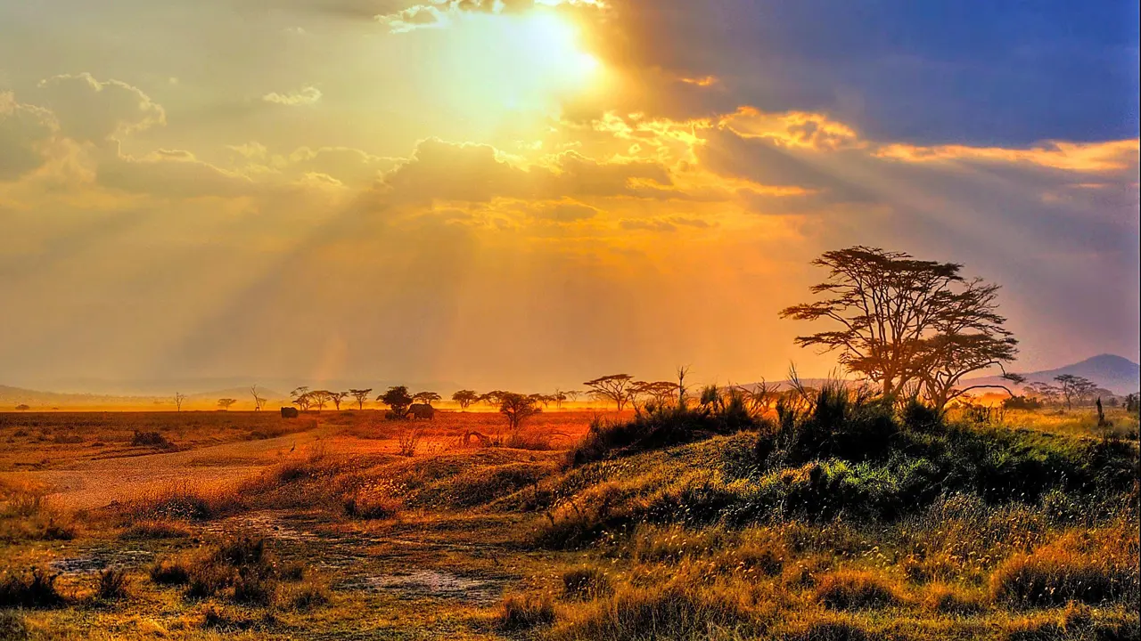 Kruger National Park