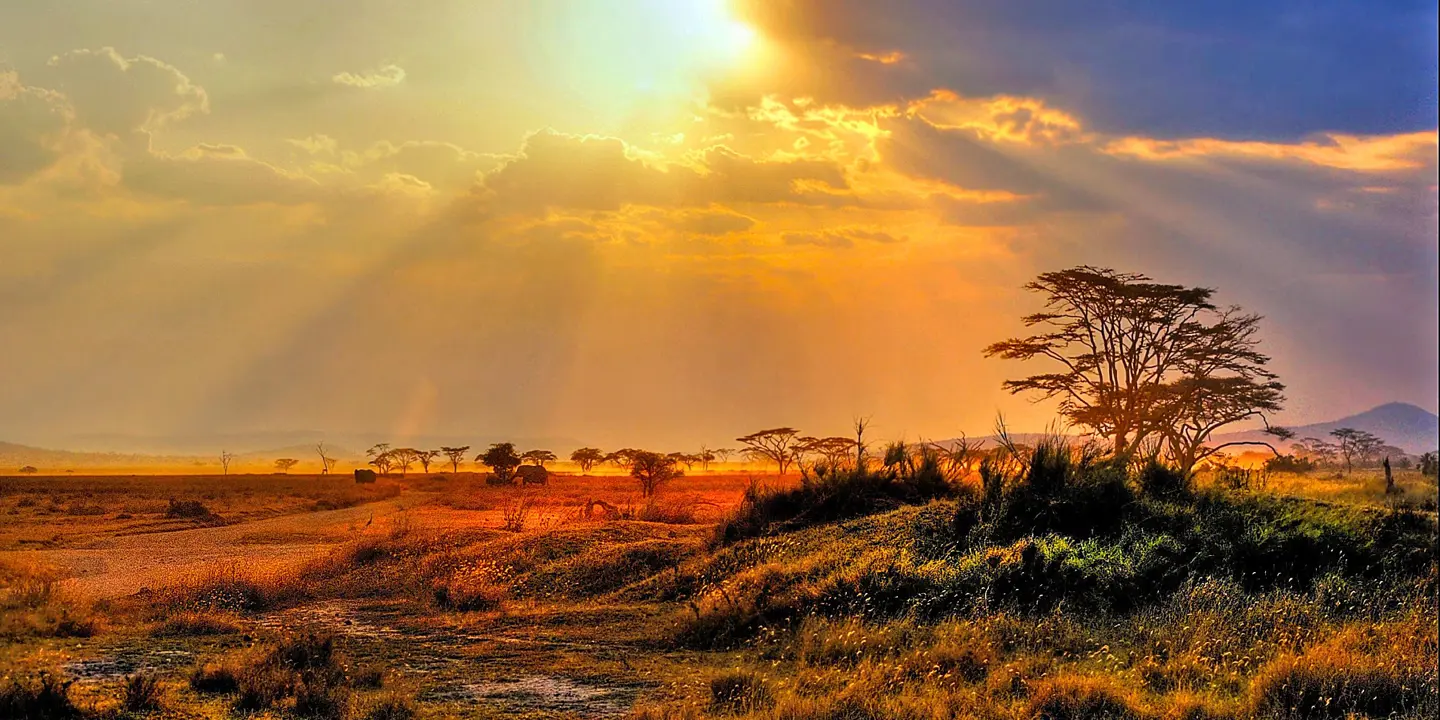 Kruger National Park