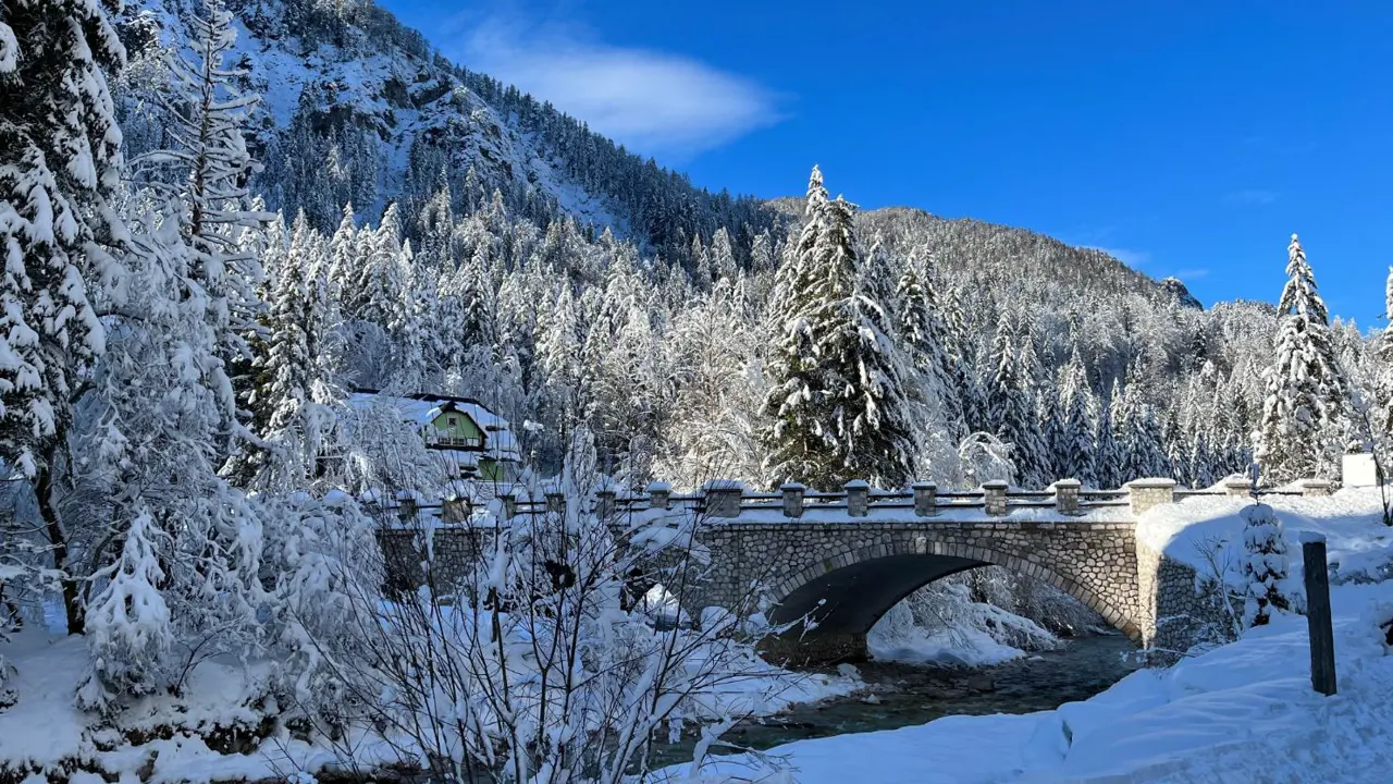 Scenic view near Kranjska Gora