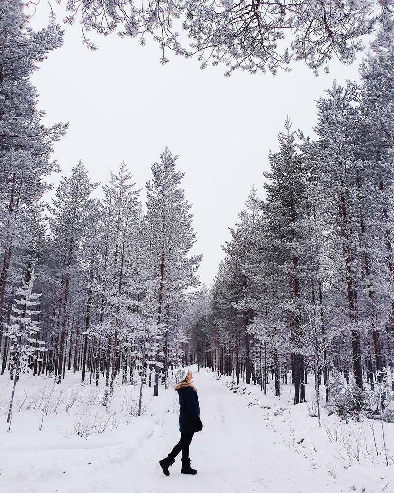 A lady in the middle of a snowy forest, looking up at the trees