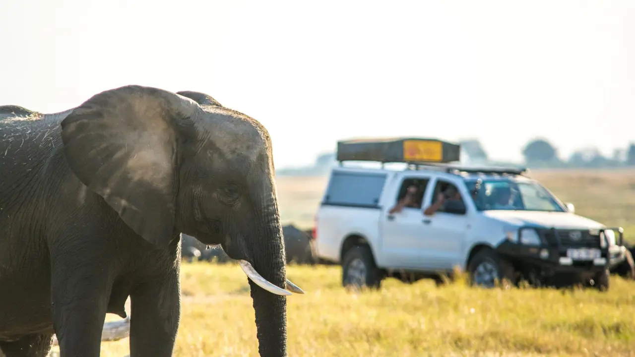 Chobe Safari Lodge Campsite Self Drive 1