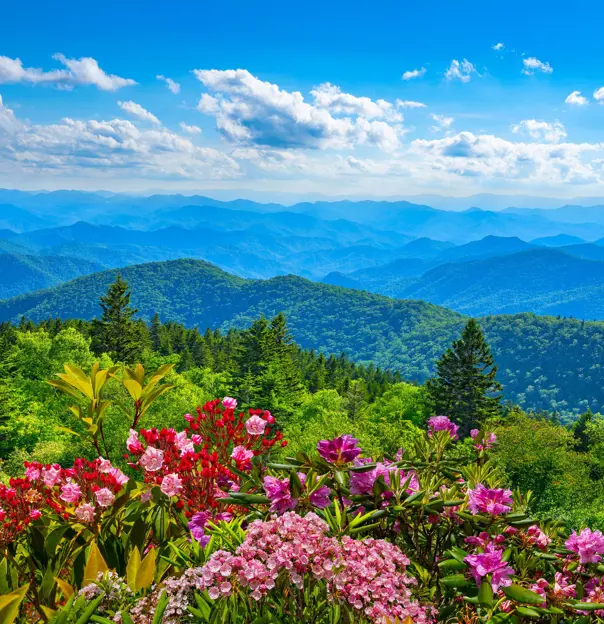 Great Smoky Mountains, Tennessee 