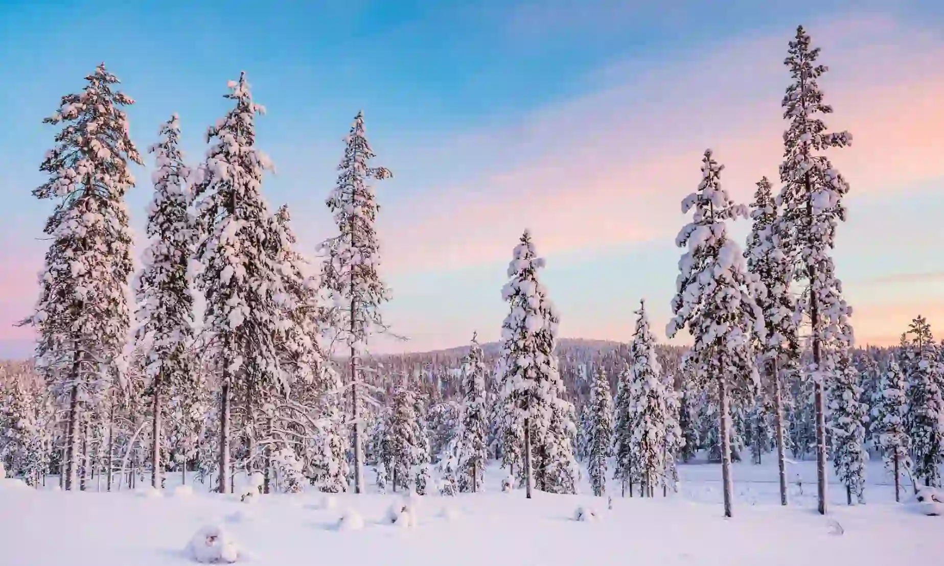 09 1100X180 Homepage Banner Lapland