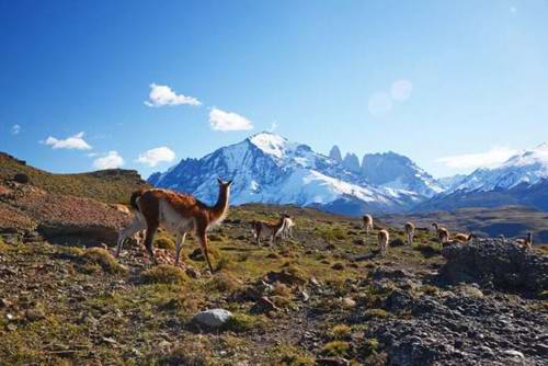 Torres del Paine National Park, Chile