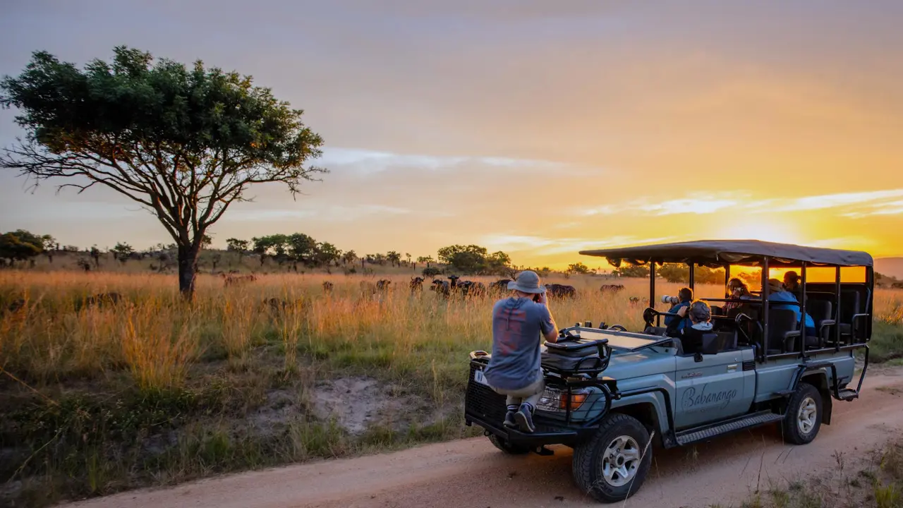 Babanango Game Reserve, sunset game drive
