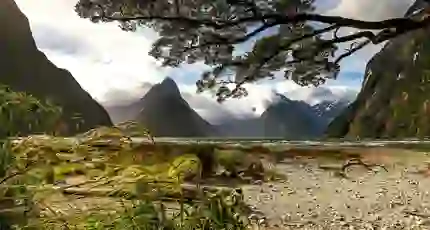 Milford Sound, New Zealand