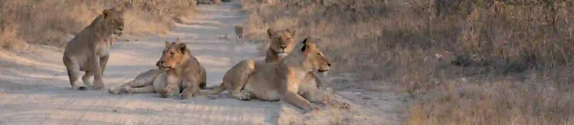 1640X924 Facebook Header