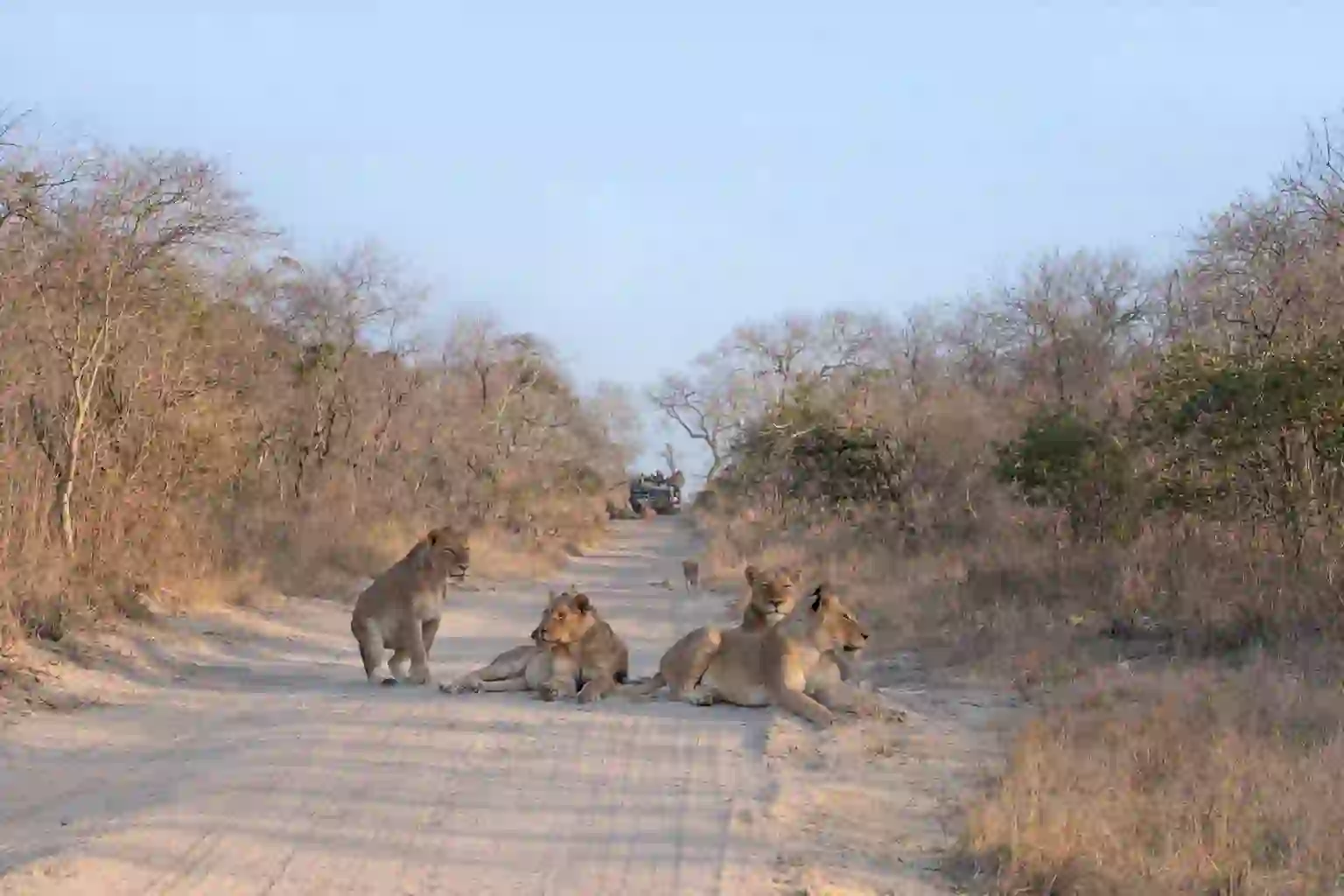 1640X924 Facebook Header