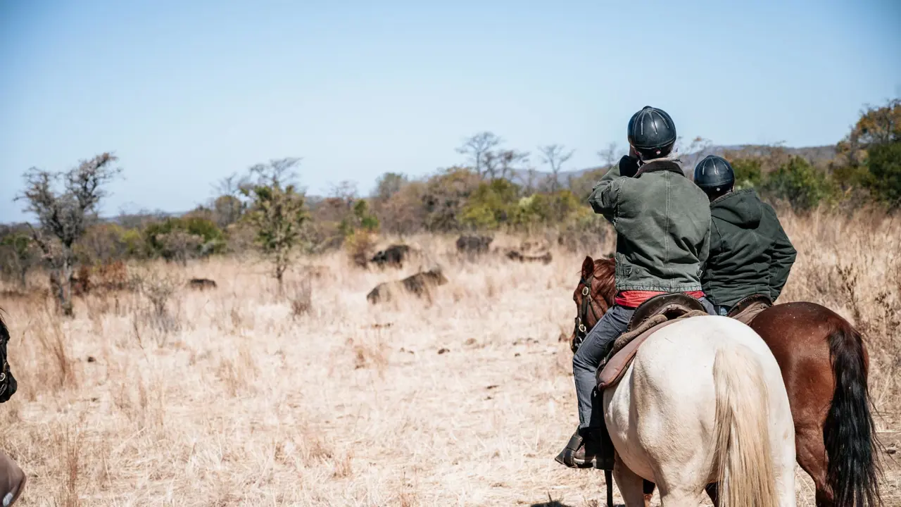 Kingfisher Villa Suites, Mabula Game Reserve, horseback safari