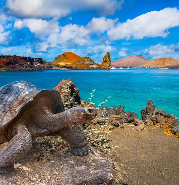 Galapagos Islands, Ecuador