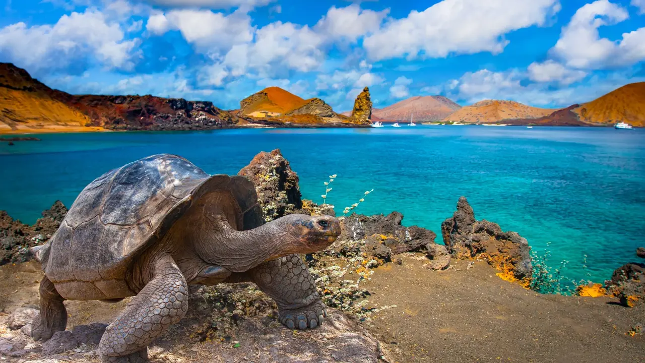 Galapagos Islands, Ecuador