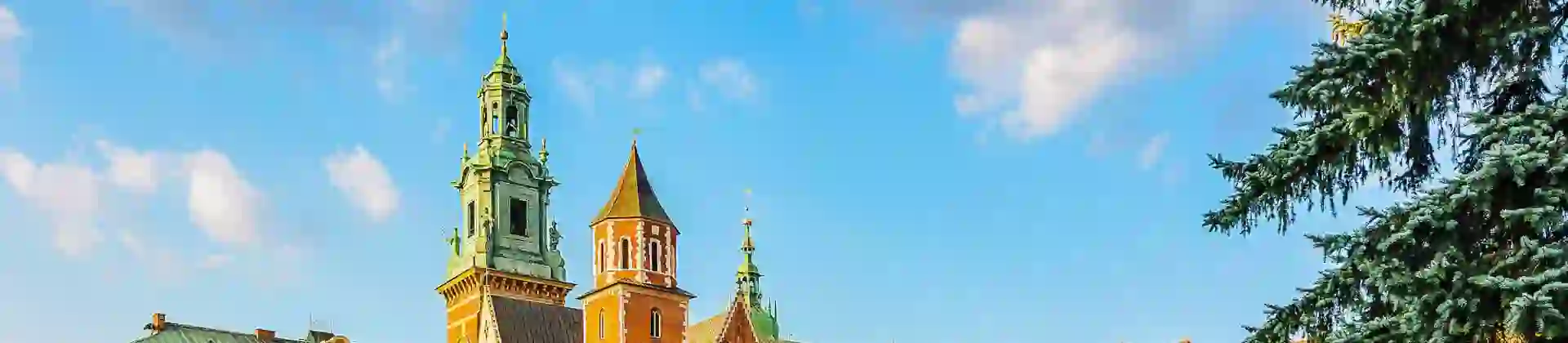 Wawel Castle, Kraków