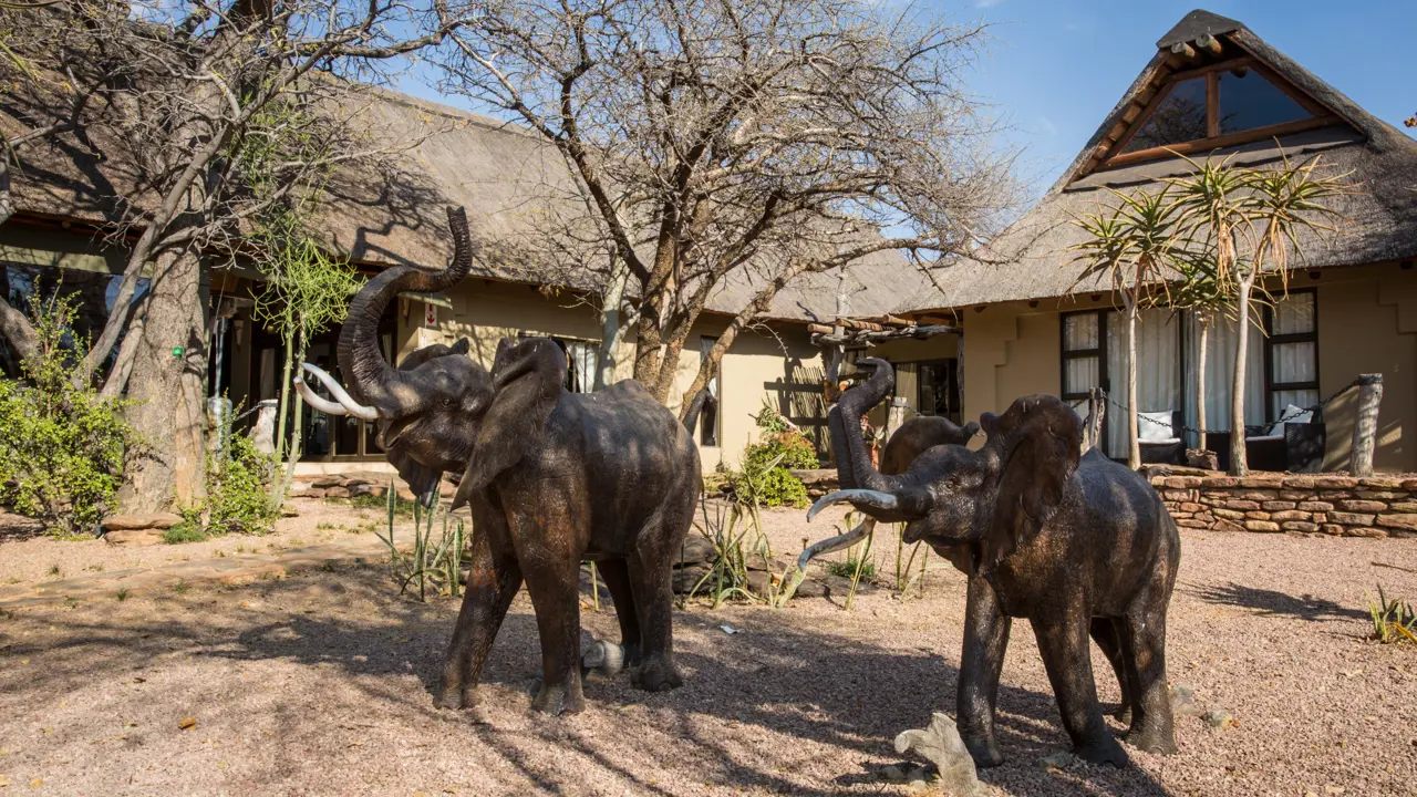 The Elephant Lodge