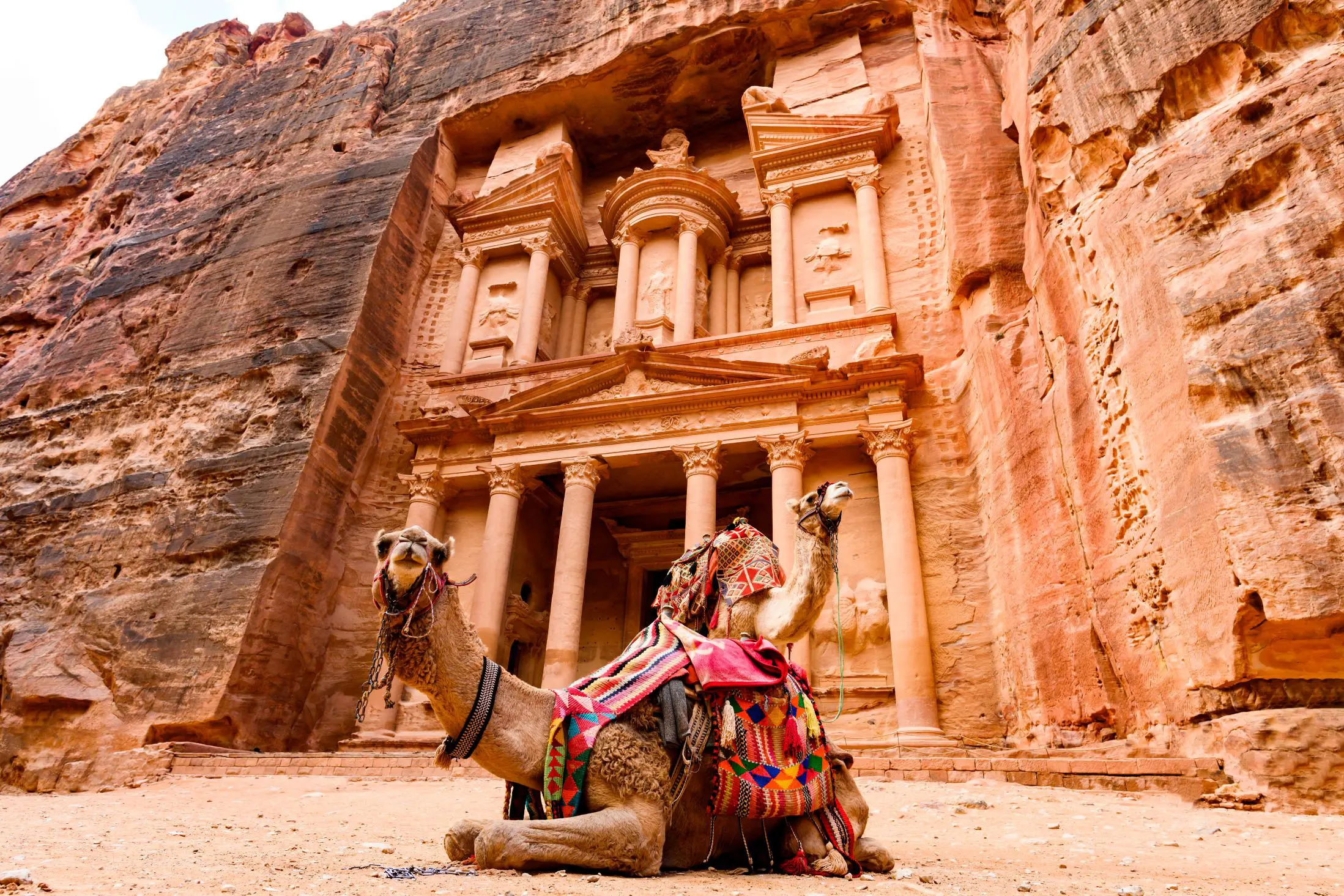 Camel outside Petra 