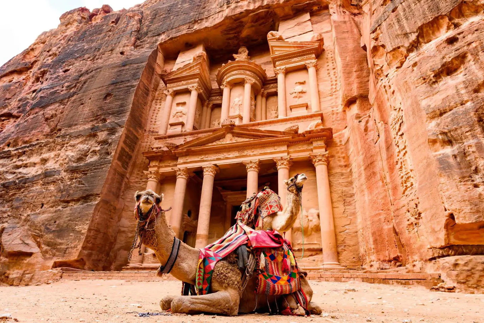 Two camels resting in front of the ancient rock-carved façade of Petra in Jordan, with sunlit sandstone cliffs rising behind