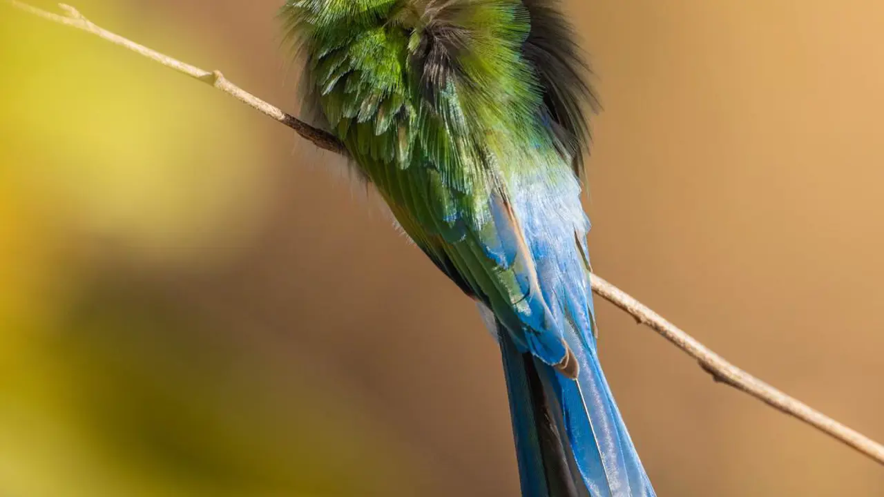 Hwange National Park, Zimbabwe