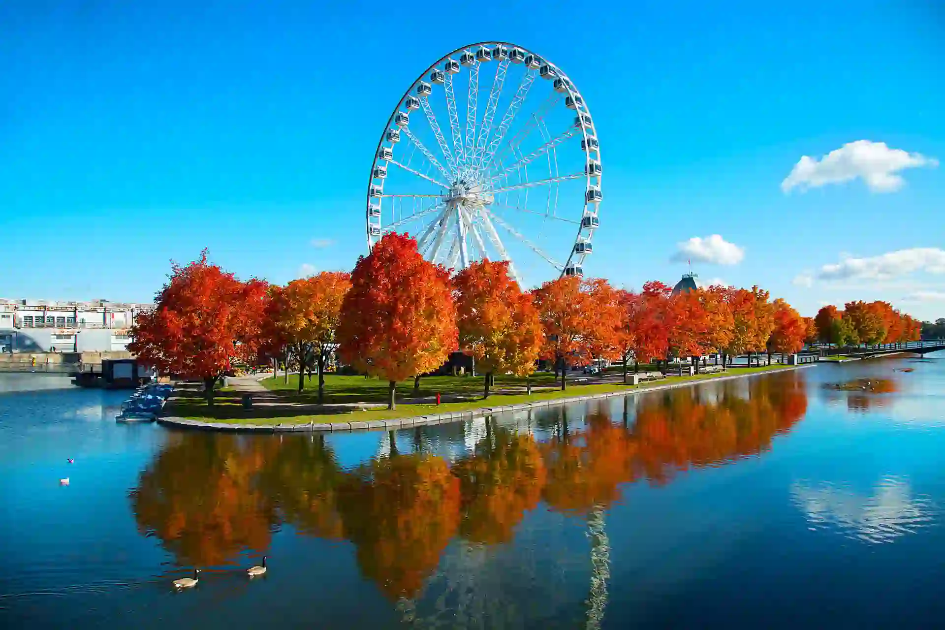 1920 Sh 1204627474 Fall Great Wheel Of Montreal, Canada