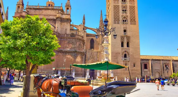 Plaza Virgen De Los Reyes Sevilla