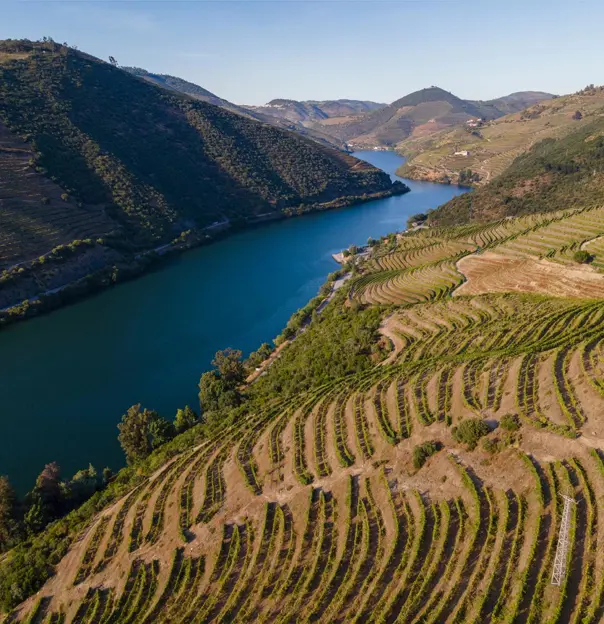 Douro Valley, Peso Da Régua