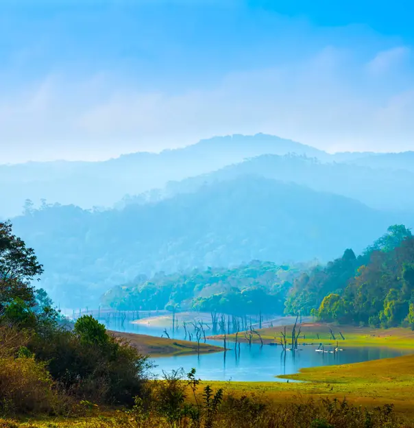 Periyar National Park, Kerala, India