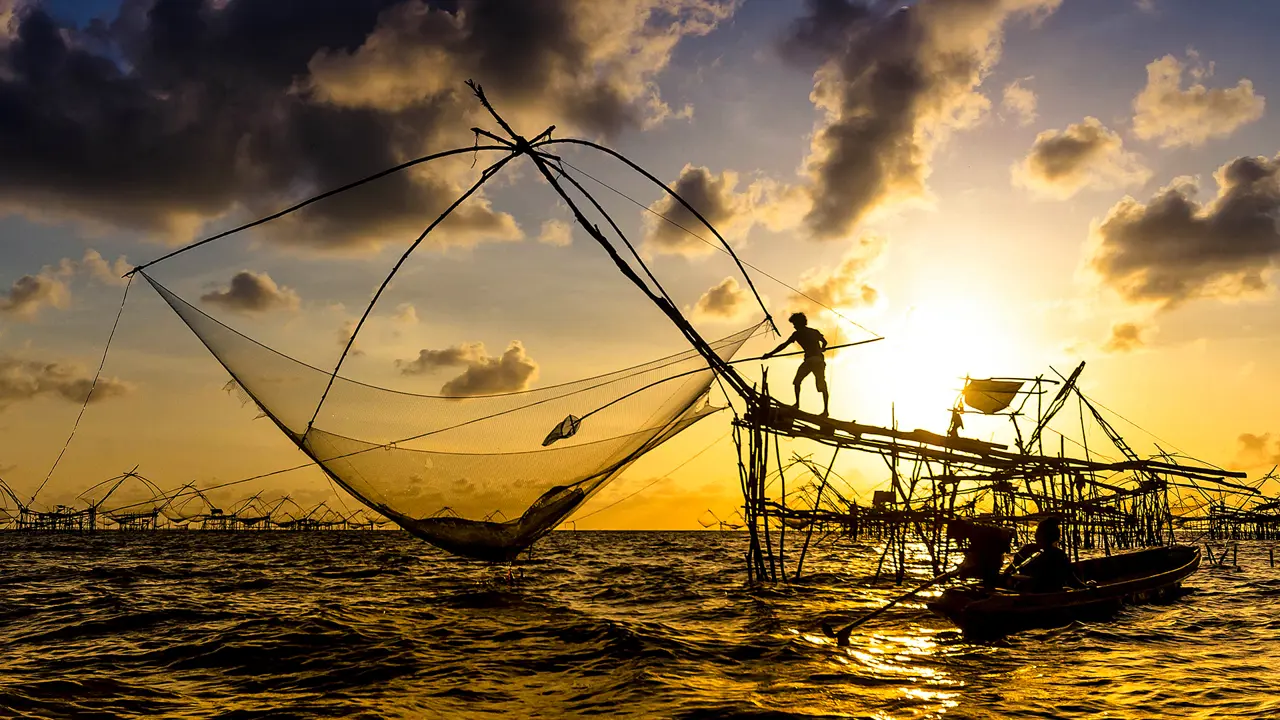 Chinese Fishing Nets, Kochi