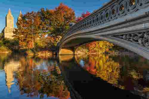 Day One: New York City in the fall