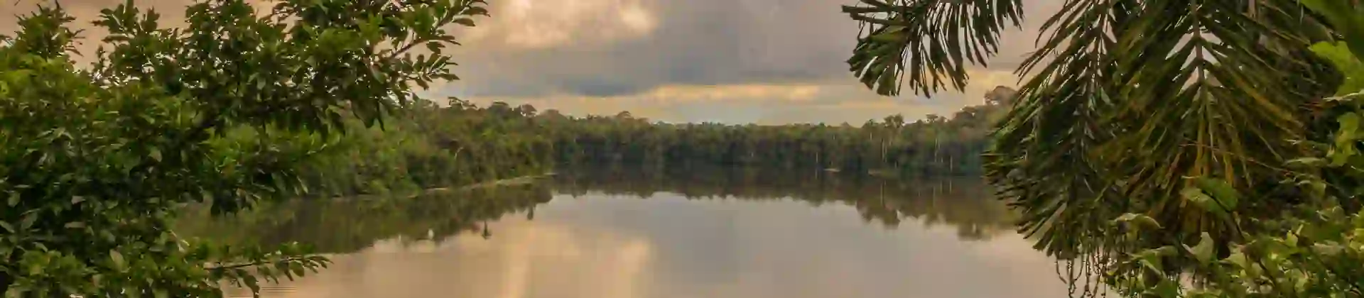 Lake Sandova, Tambopata National Reserve