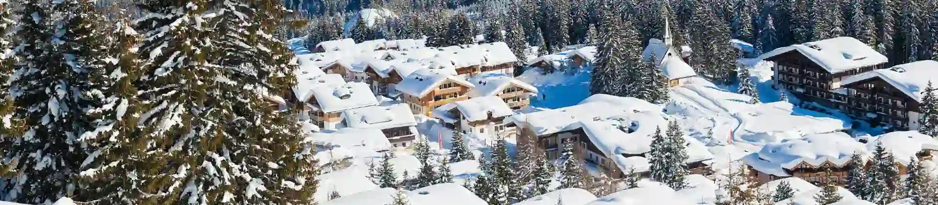 View of a village in the mountains in thick snow. With large fir trees in the left forefront, and smaller ones dotted around the village at the bottom the mountain. Above this a large forest of trees can be seen, going up the mountain, in front of large mountains covered in snow, in front of a light blue sky.