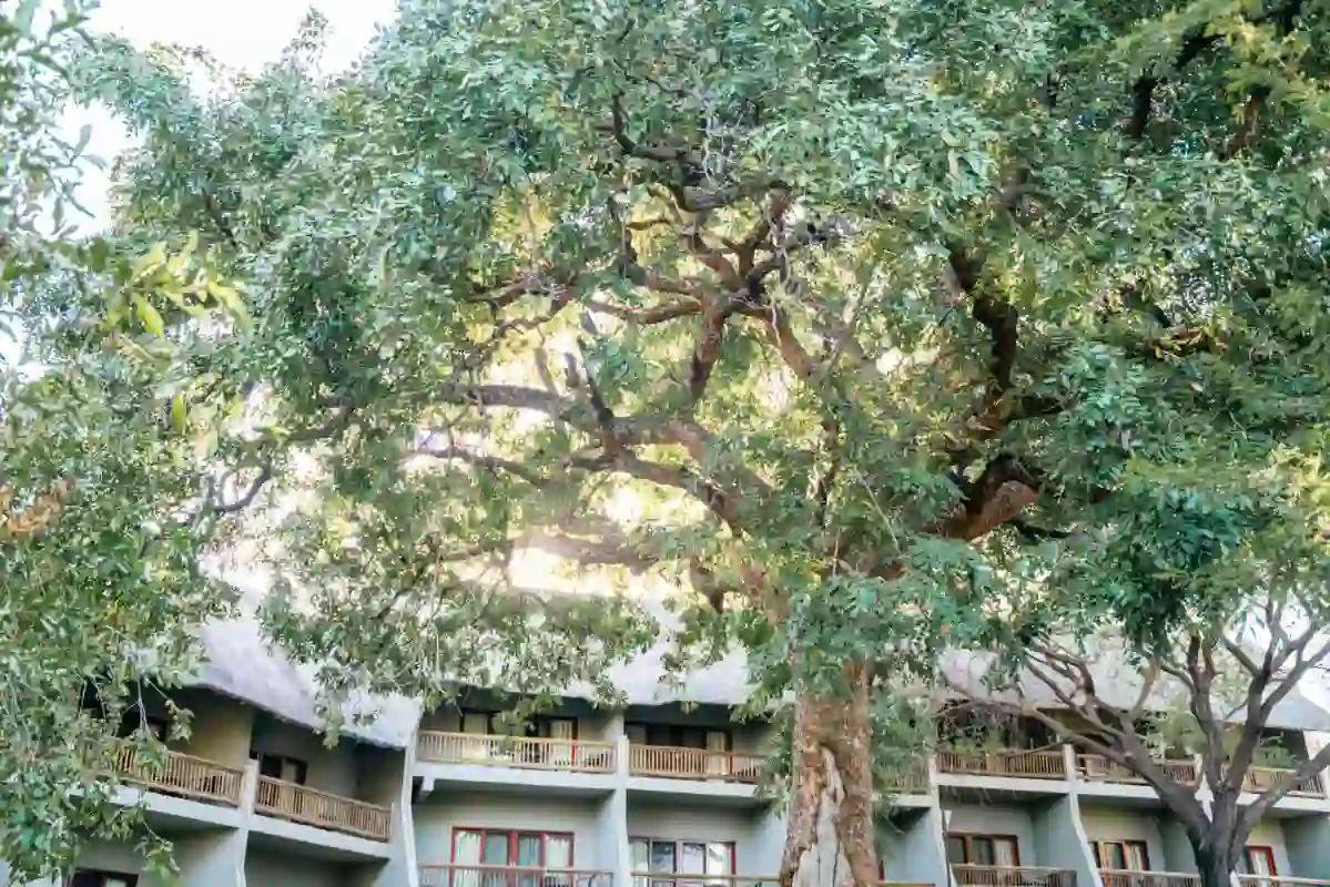 Chobe Bush Lodge Room Exterior 2024 3