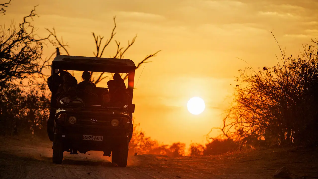 The Chobe Safari Lodge Game Drive 1