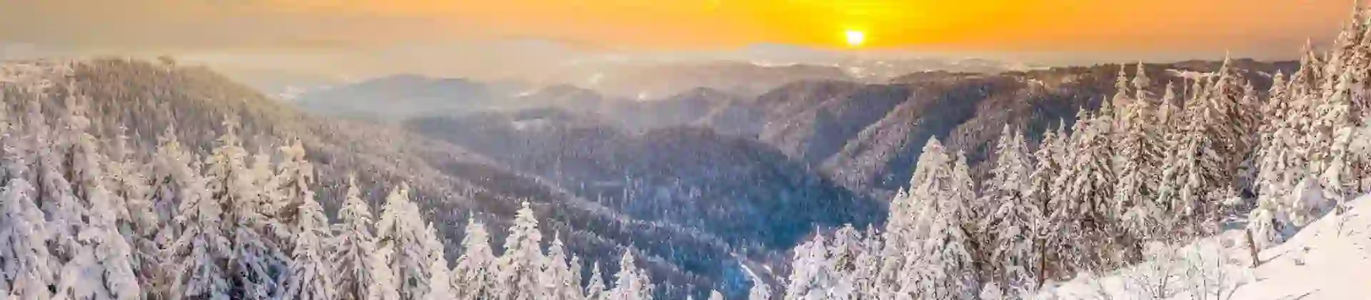 Winter Landscape In The Black Forest, Germany