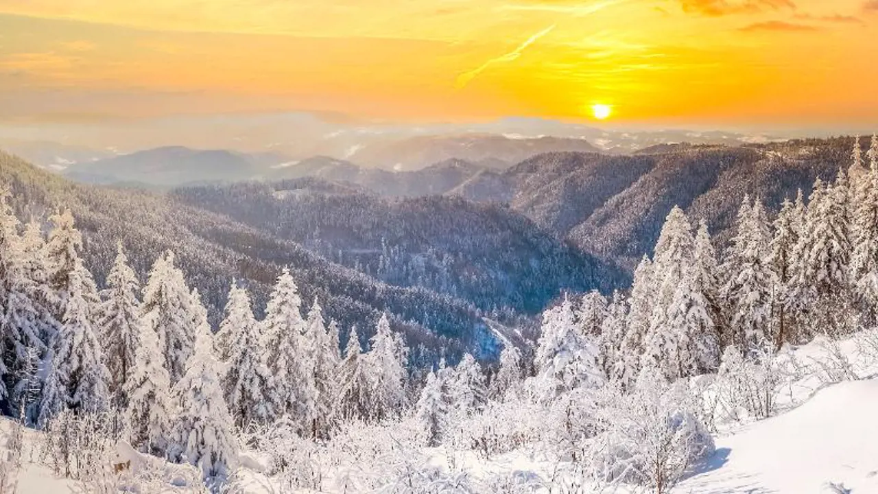  Winter Landscape In The Black Forest, Germany